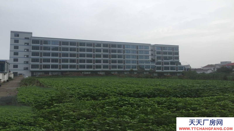 惠州市惠陽區新圩鎮１８００平方紅本獨棟廠房出售