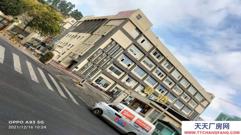 惠州市惠陽區新圩鎮１８００平方紅本獨棟廠房出售