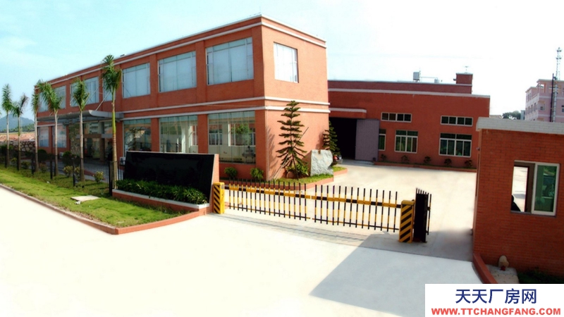 東莞市清溪鎮１８５２平方全新獨立連排辦公樓出售