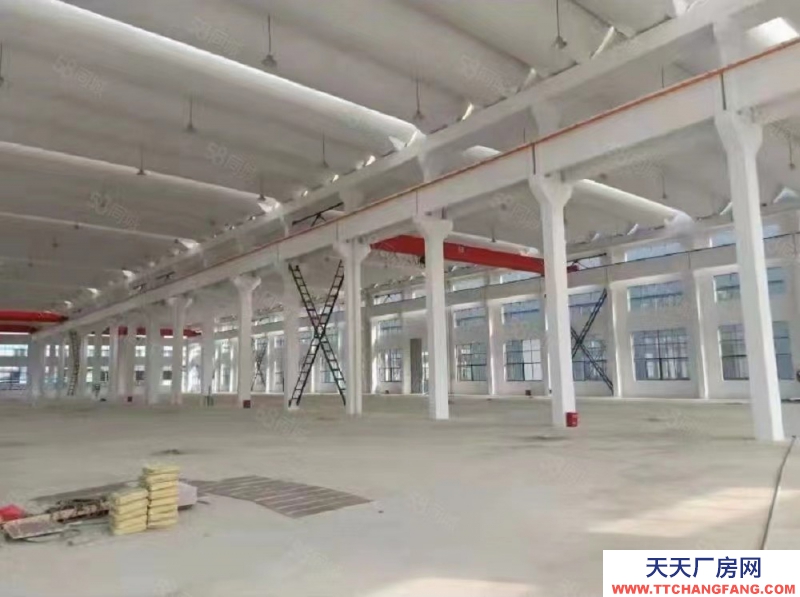 單層框架廠房 層高12.5米 50年產(chǎn)權(quán) 入園即可辦證