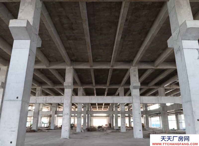 單層框架廠房 層高12.5米 獨(dú)立庭院 大車暢行 首付2成