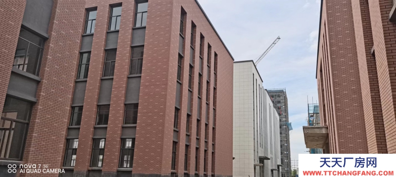 金壇旁層高12.5米單層廠房出售 交付辦證