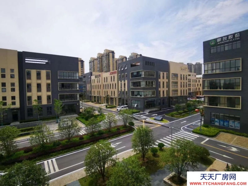 獨(dú)戶現(xiàn)房-廬陽區(qū)-高端都市產(chǎn)業(yè)園