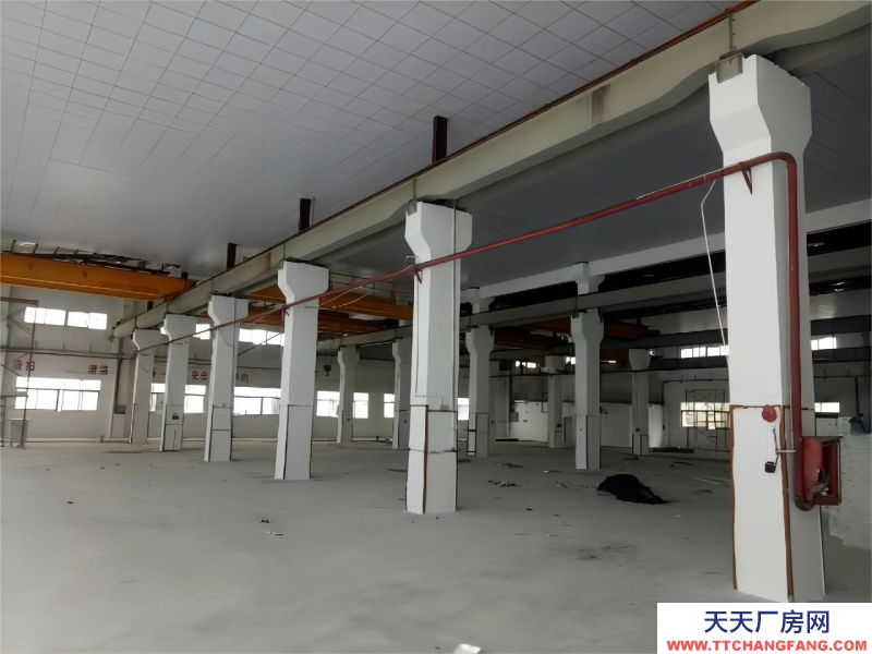 無錫周邊單層廠房 高12.5米 獨立庭院 入園即可辦證 可定制