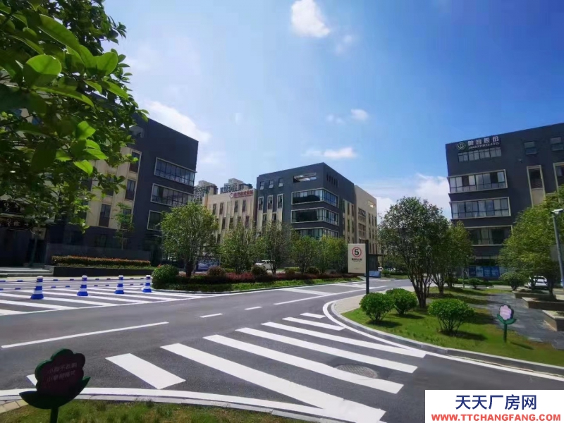 獨戶現(xiàn)房-廬陽區(qū)-高端都市產(chǎn)業(yè)園