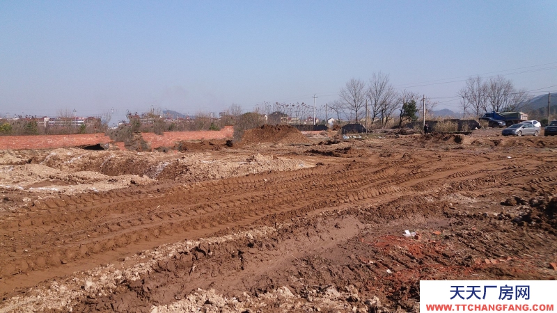 東莞市鳳崗鎮３０００平方米紅本全新六樓廠房出售