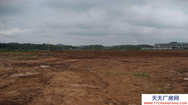 東莞市鳳崗鎮(zhèn)3000平方米紅本全新六樓廠房出售