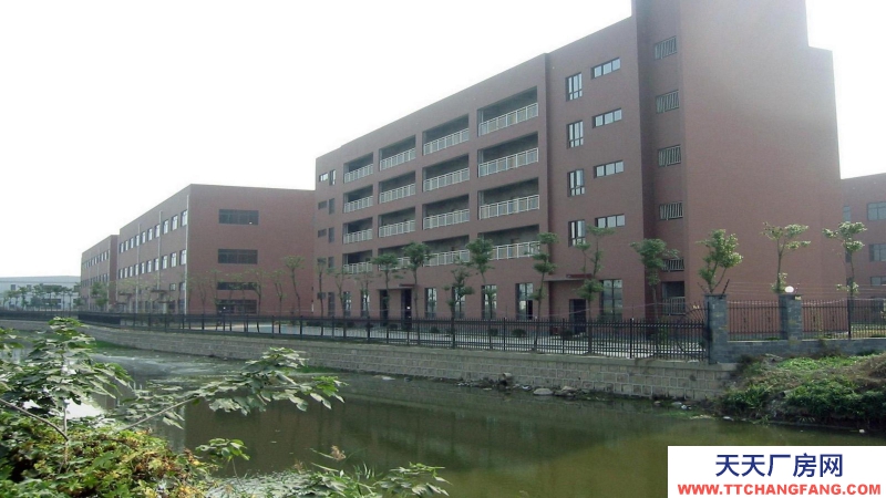 東莞市塘廈鎮３００００平方標準獨棟廠房出租