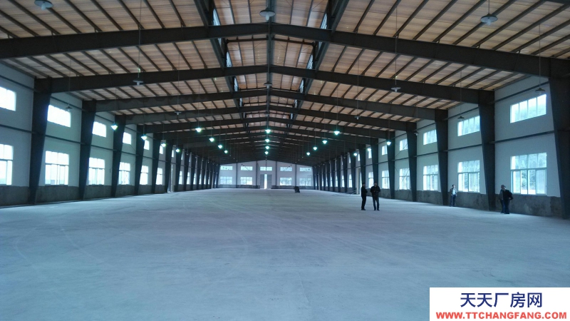 廣東省東莞市塘廈鎮37000平方標準倉庫出租