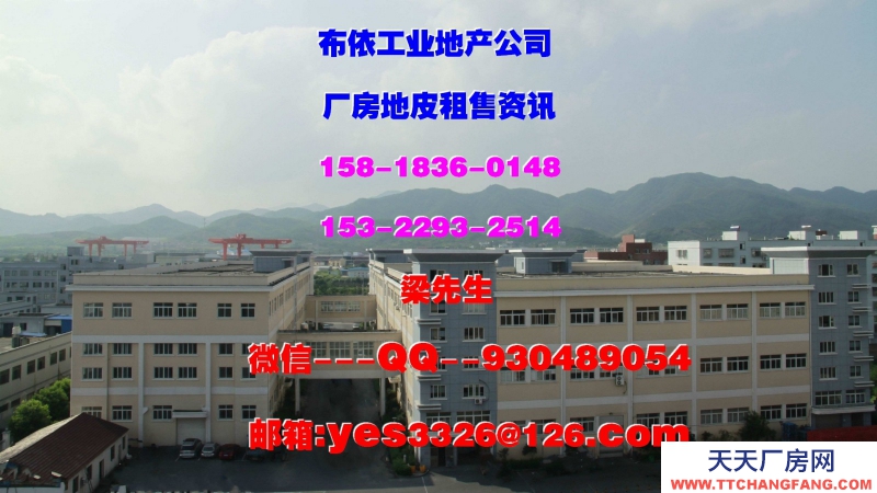 東莞鳳崗鎮(zhèn)42000平方五星干倉物流倉庫出租