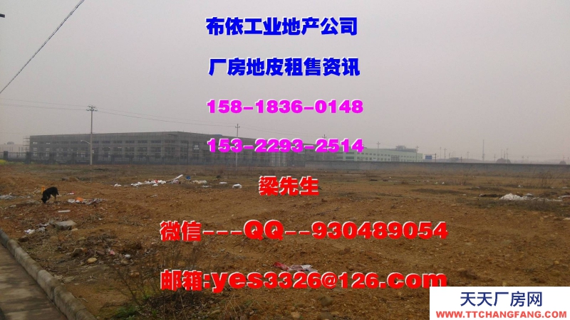 東莞鳳崗鎮(zhèn)42000平方五星干倉物流倉庫出租