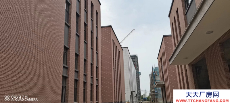 武進旁單層12.5米層高廠房出售 入住辦證 無強制稅收要求