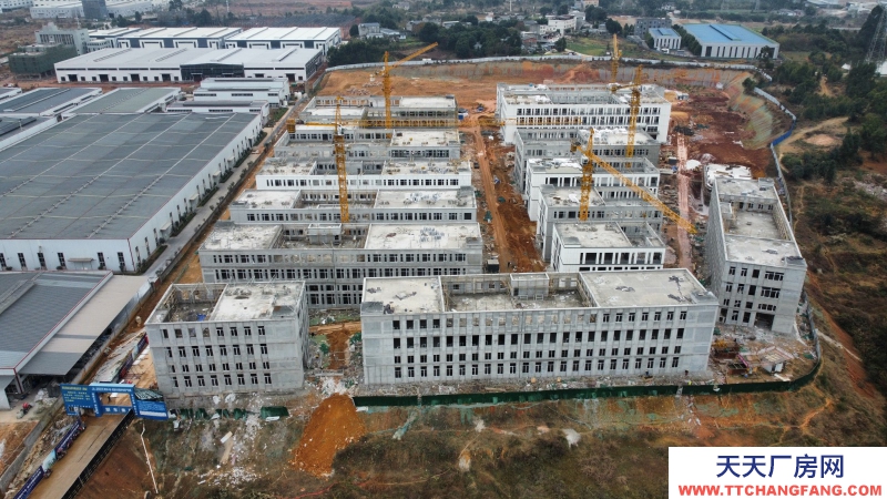 天府大道南三段,政府平臺高端數字經濟產業園招商,50年產權