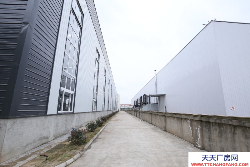 成都食品廠房出租,單層鋼結構,12000平,可分租,無稅收要求