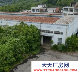 四川宜賓工業(yè)廠房出租,紅本齊全,價(jià)格便宜,交通方便!