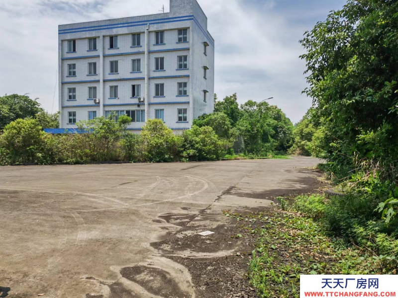 四川宜賓工業(yè)廠房出租,紅本齊全,價(jià)格便宜,交通方便!