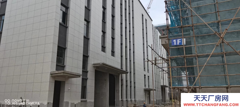 12.5米單一層園區(qū)廠房出售 交房辦證