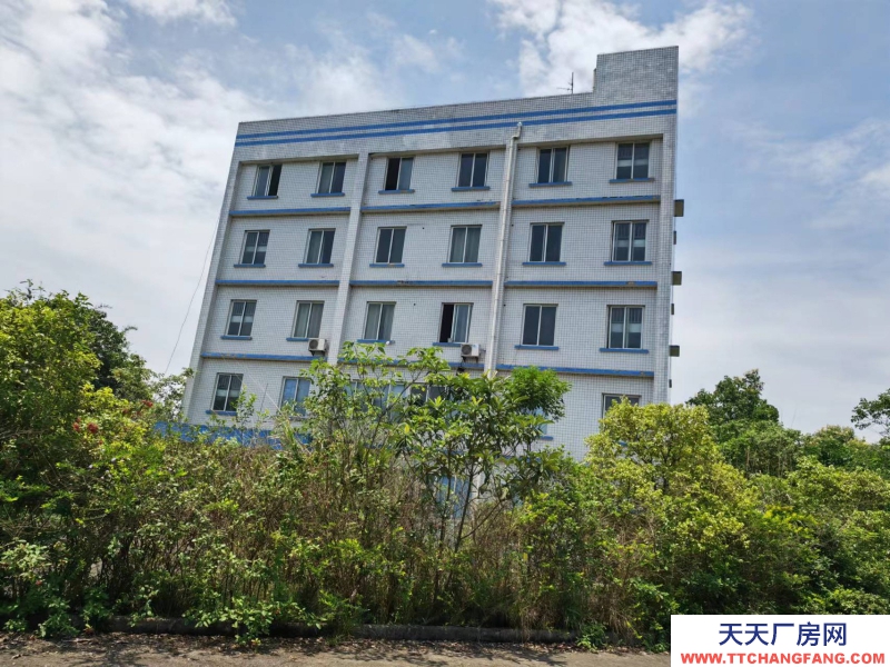 出租宜賓江安工業倉庫 工業廠房 租金低