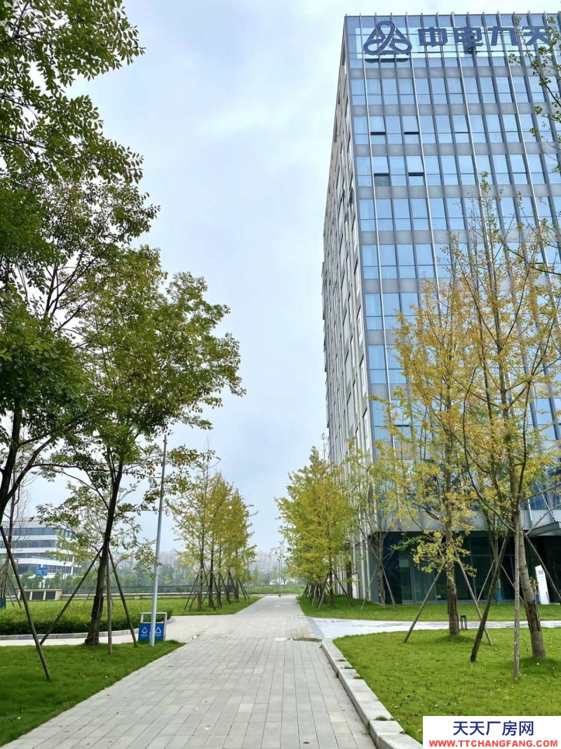 政府平臺科創空間,孵化總部,政策補貼,100起