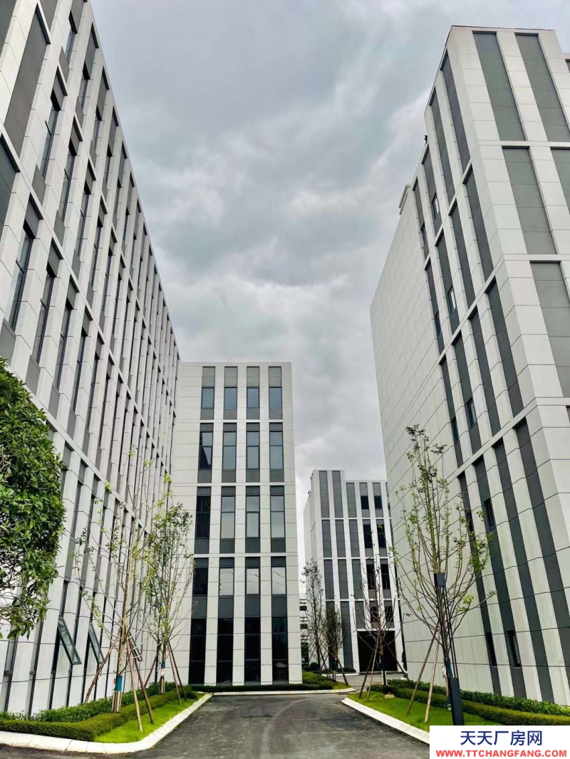 汽車城板塊,覆蓋中和新川