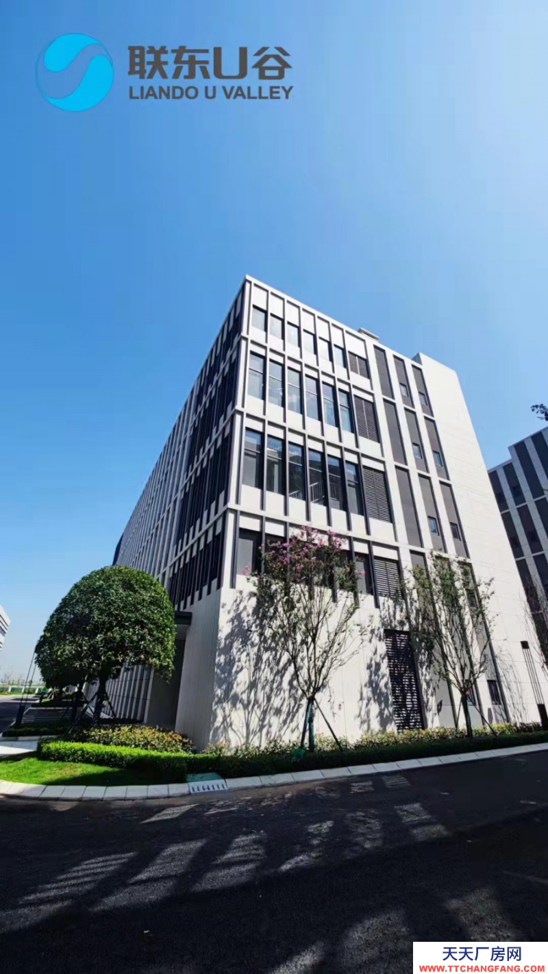 汽車城板塊，覆蓋中和新川