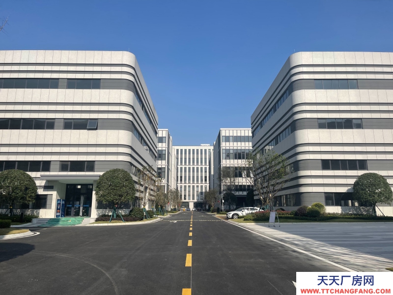 汽車城板塊,覆蓋中和新川