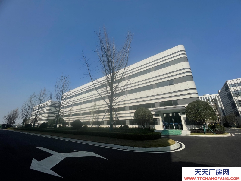 汽車城板塊,覆蓋中和新川