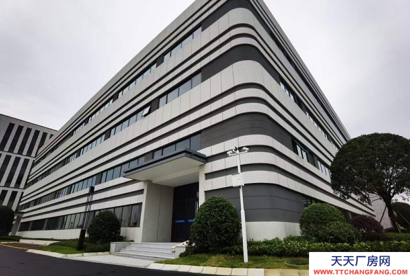 汽車城板塊,覆蓋中和新川