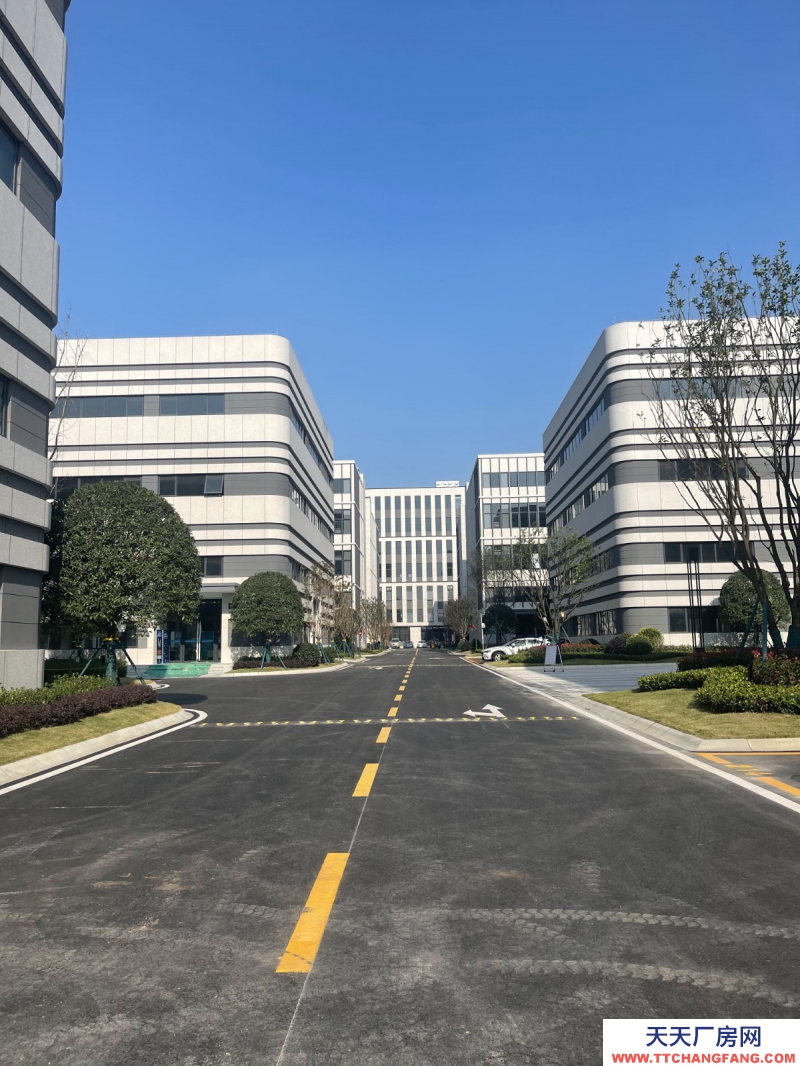 汽車城板塊,覆蓋中和新川