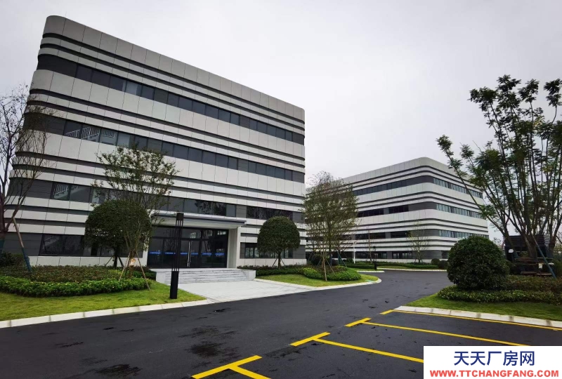 汽車城板塊,覆蓋中和新川