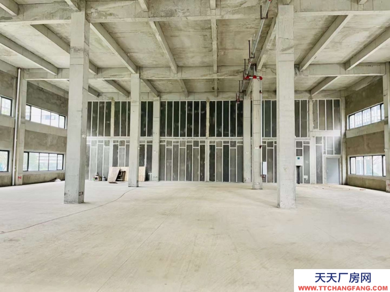 汽車城板塊,覆蓋中和新川