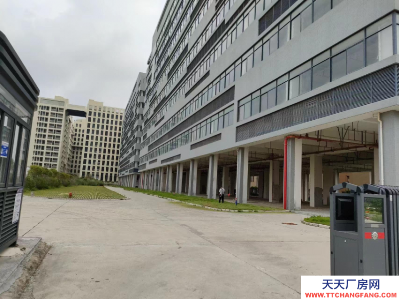 前2個月免租金！中山翠亨新區廠房出租，每平15元，深中通道旁