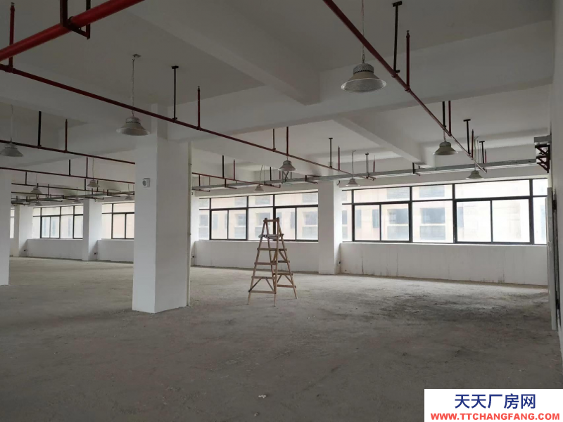 前2個月免租金！中山翠亨新區廠房出租，每平15元，深中通道旁