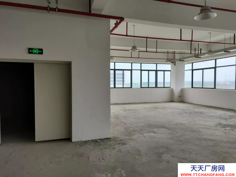 前2個月免租金！中山翠亨新區廠房出租，每平15元，深中通道旁