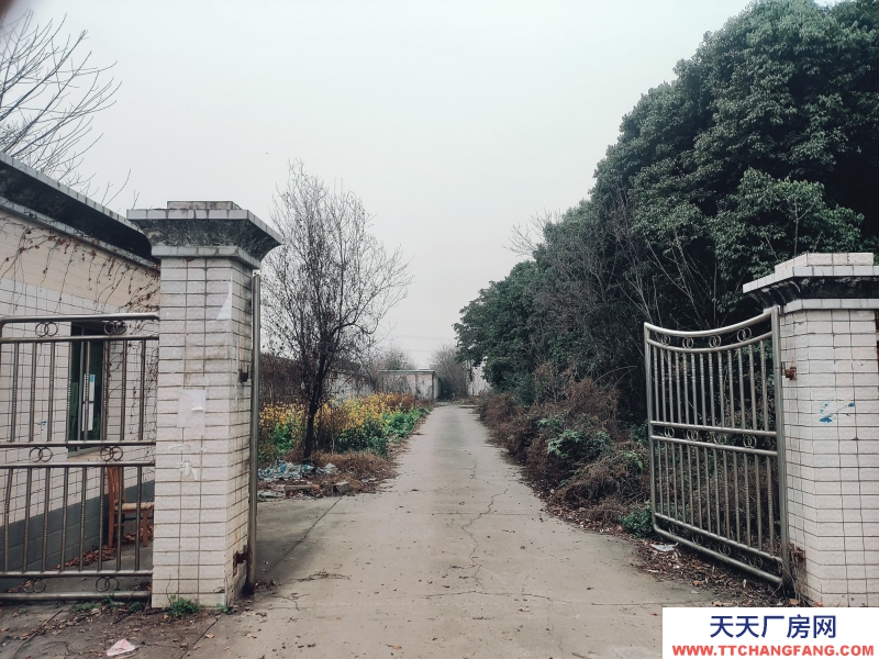 近工業(yè)大道獨(dú)院廠房直租