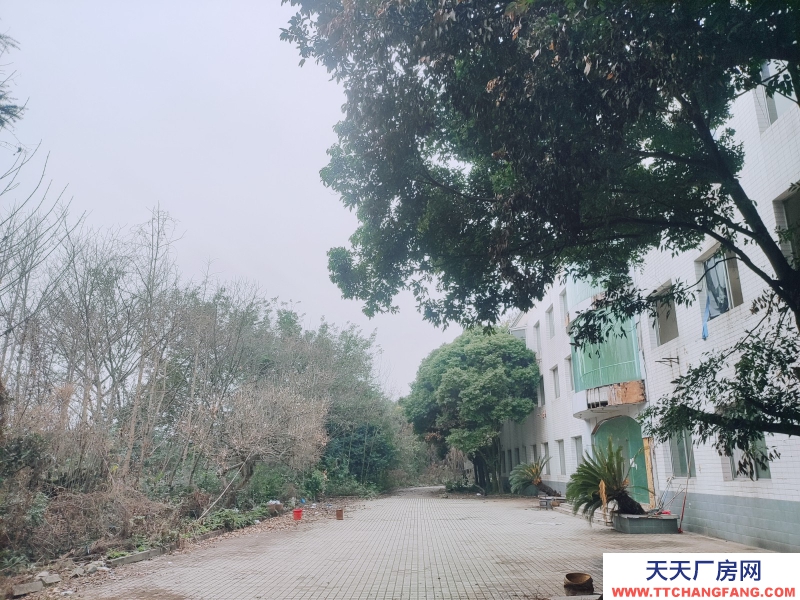 近工業(yè)大道獨院廠房直租