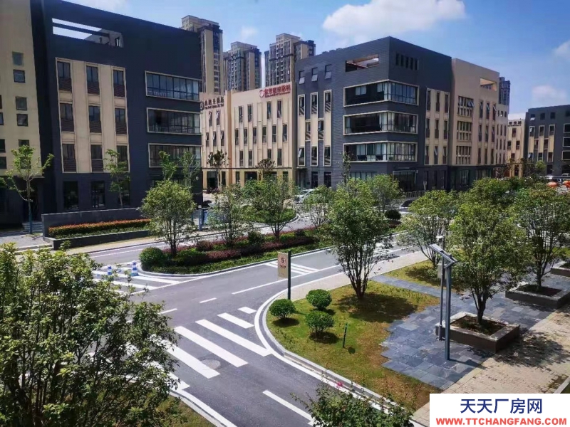 獨戶現房-廬陽區-高端都市產業園