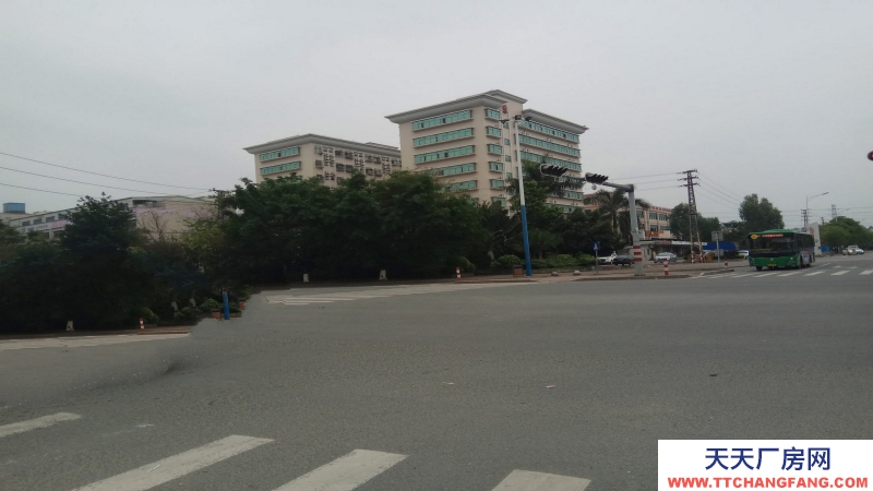 東莞市黃江鎮(zhèn)12000平方米兩層全新倉庫出租