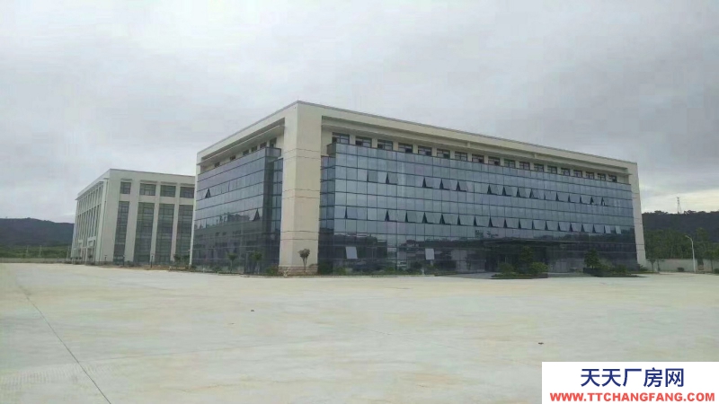 東莞市謝崗鎮(zhèn)12000平方米框架高標(biāo)倉(cāng)庫(kù)出租