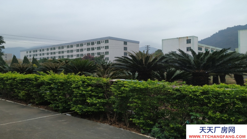 東莞市清溪鎮(zhèn)18000平方米雙層物流倉庫出租