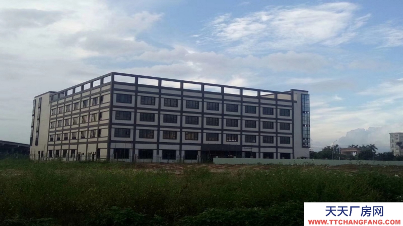 東莞市鳳崗鎮１８０００平方米現成冷凍倉庫出租