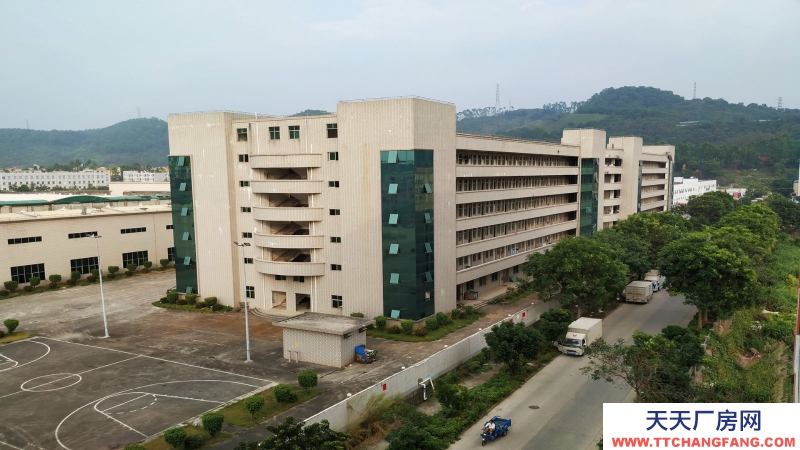 廣東東莞市石排鎮２４０００平方一二樓倉庫出租