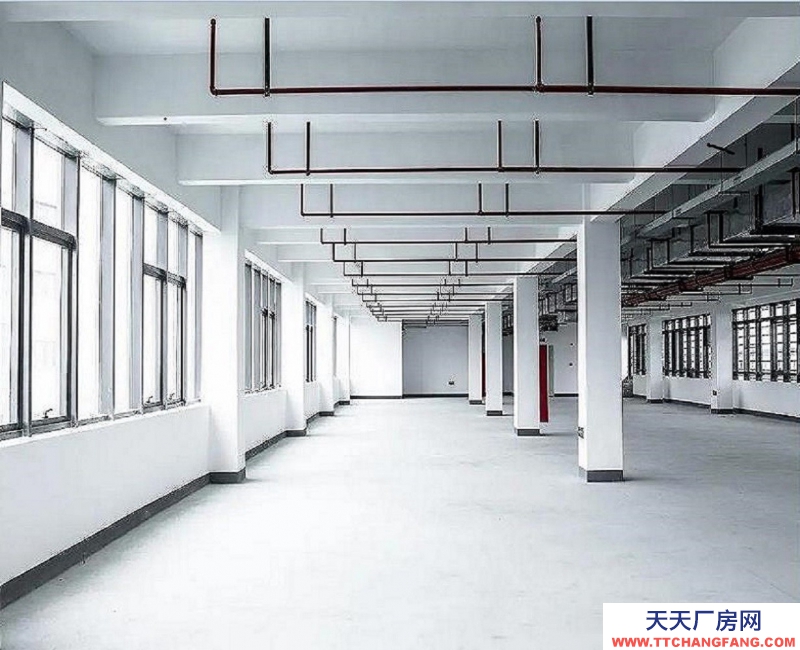 出售杭州全新獨棟廠房，只售3000多，高速輕軌環繞，生活配套齊全