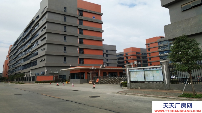 東莞市鳳崗鎮１１８２平方獨棟四層辦公樓總部出售