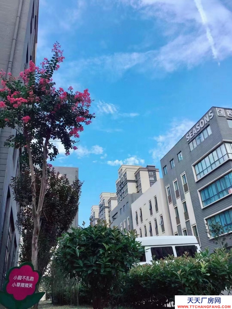 獨戶現房-廬陽區-高端都市產業園