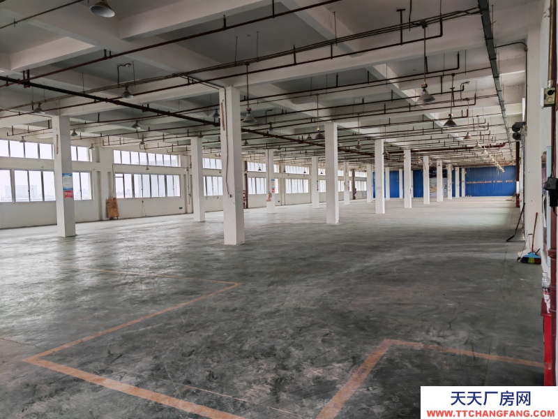 園區(qū)標(biāo)準(zhǔn)廠房三樓1930平方米出租