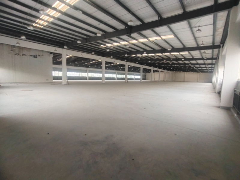 雙層廠(chǎng)房 超大面積 可整租可分租