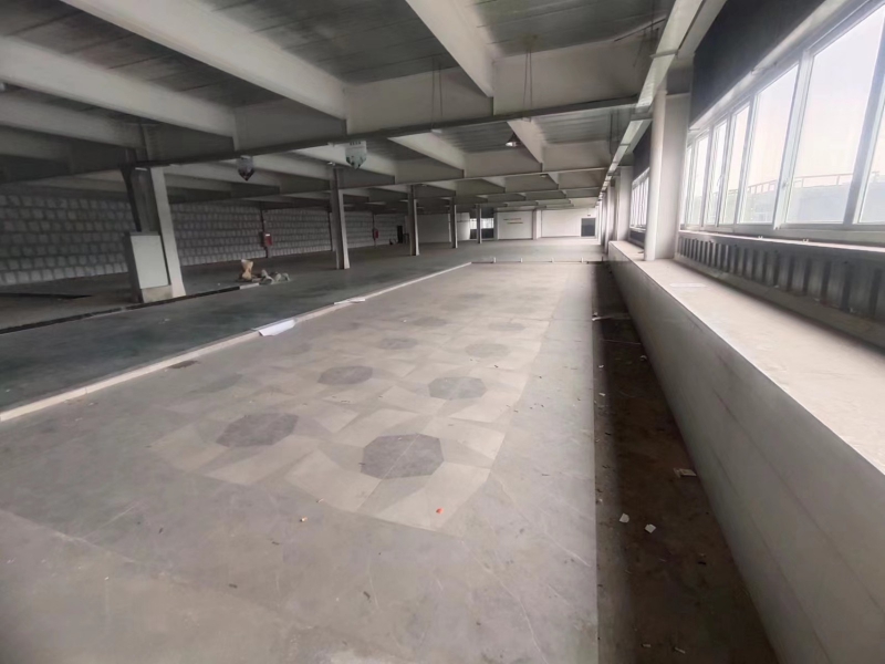 龍泉區多層數鋼結構廠房 水電氣全通 帶貨梯 衛生間