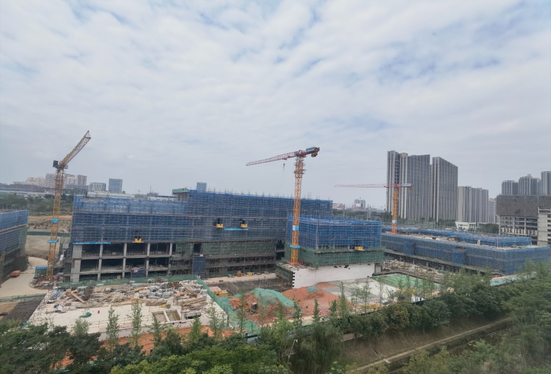 新園區(qū),獨棟開發(fā)商直租,50年工業(yè)產(chǎn)權(quán)可以辦理全資質(zhì),可建立實驗室