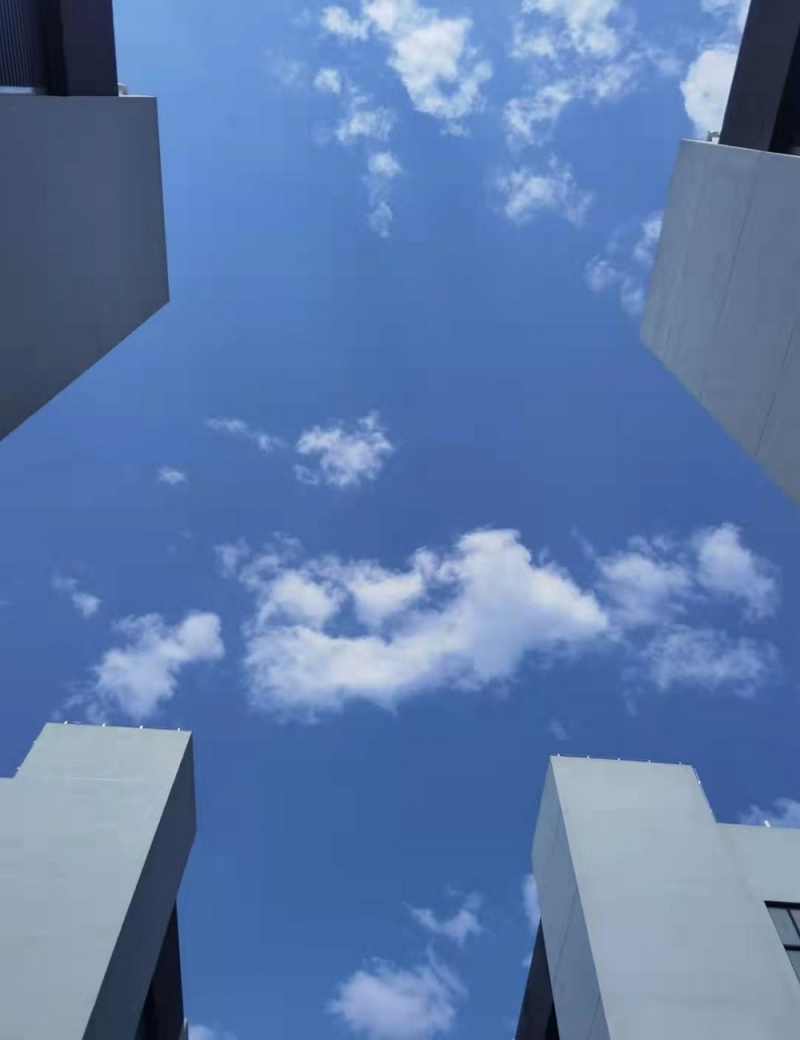 【高速口】蕭山南全新廠房出售,一千方起售